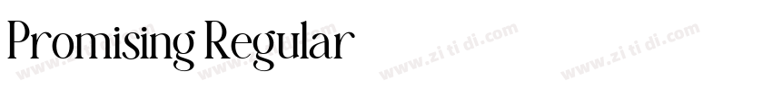 Promising Regular字体转换